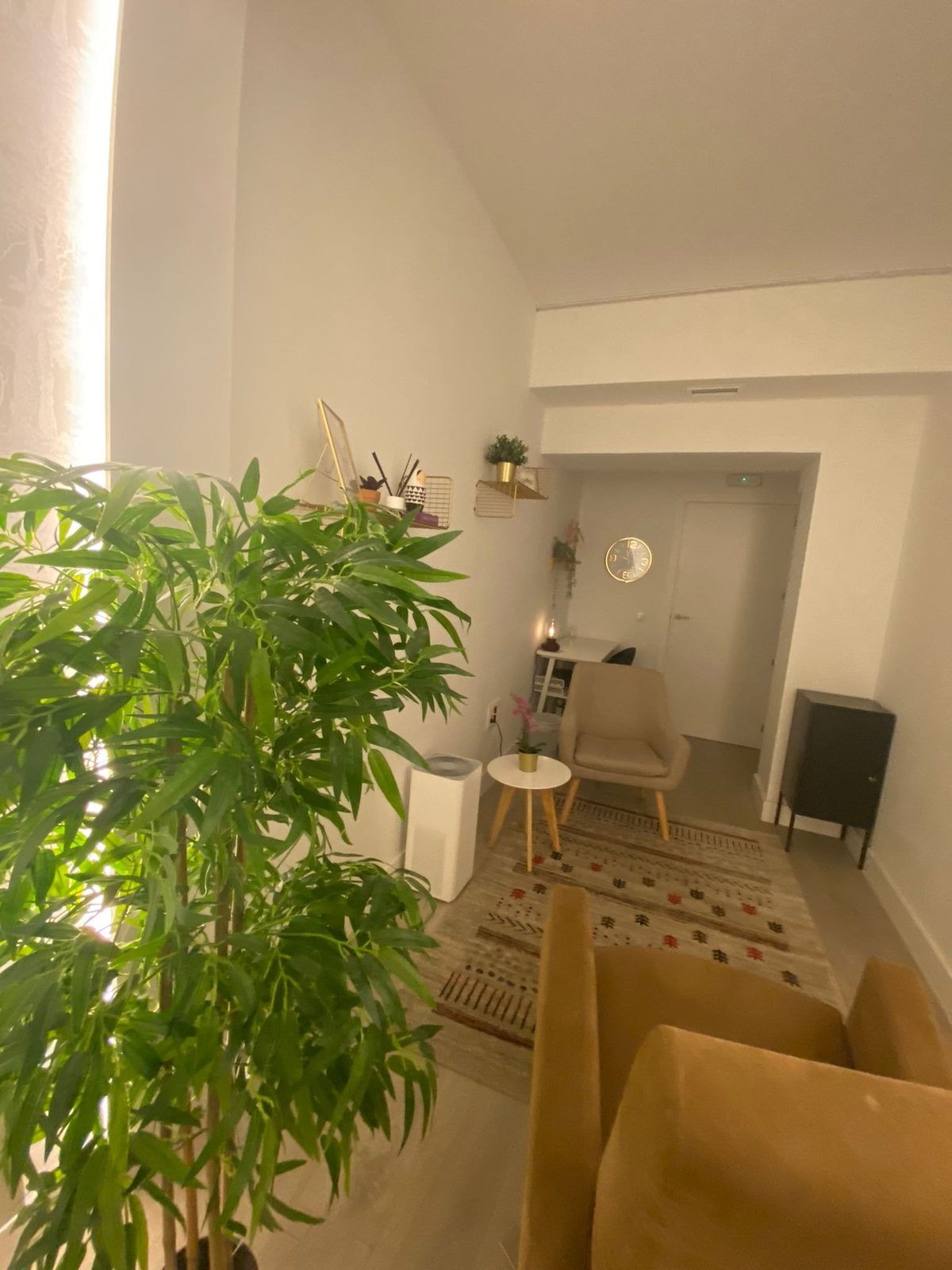 Zona de espera con plantas y luz natural