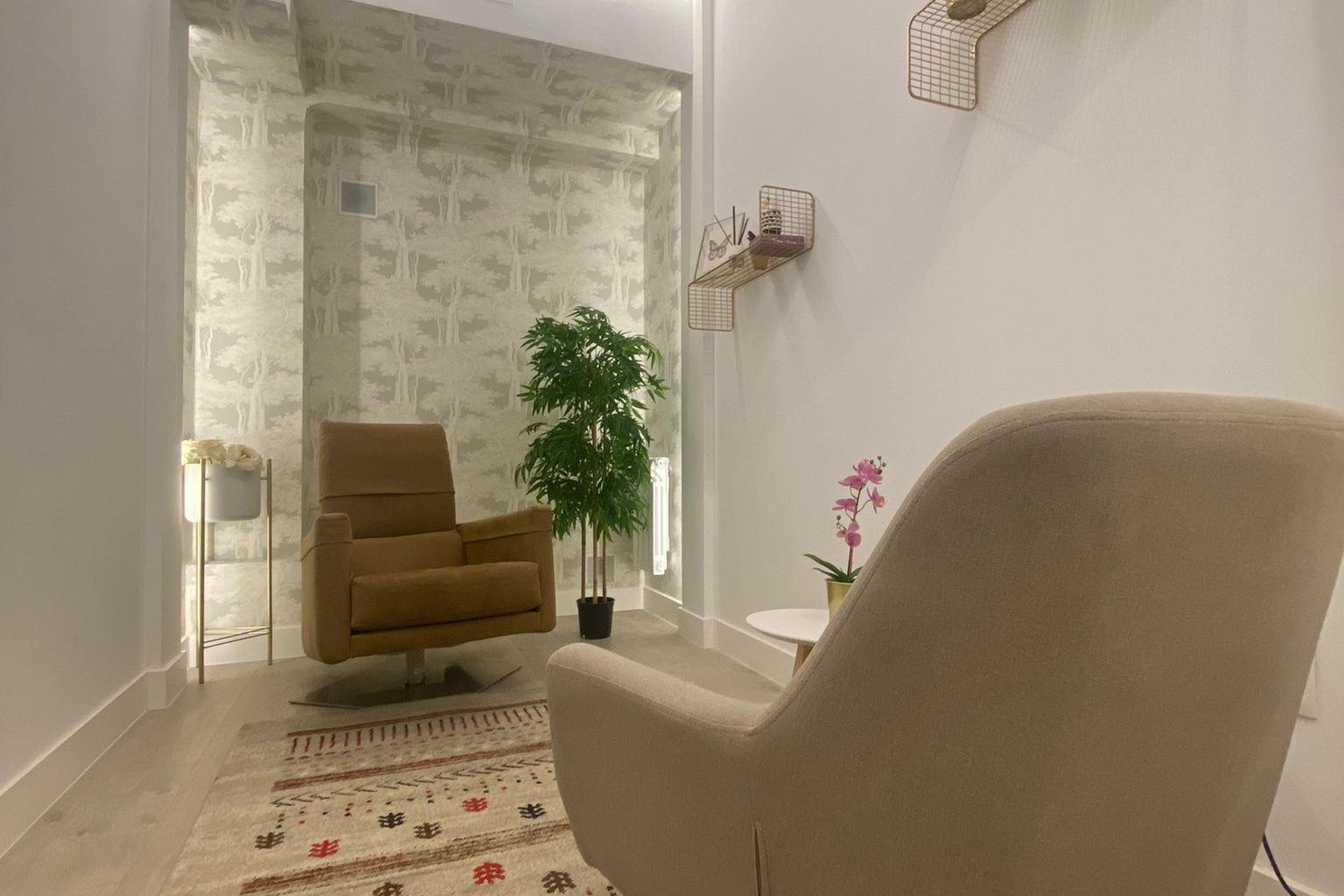 Sala de terapia del centro, con dos butacas, alfombra y plantas